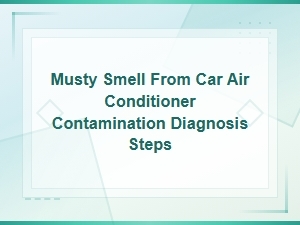 Diagnosing a Musty Smell From Your Car Ac: Cabin Air Filter Contamination Steps