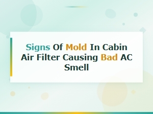 Signs of Mold in Your Cabin Air Filter Causing Bad Ac Smell