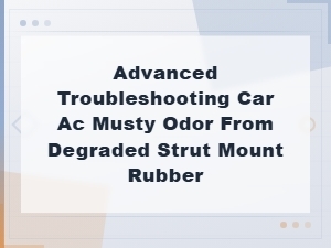 Advanced Troubleshooting: Eliminating Car Ac Musty Odor From Degraded Strut Mount Rubber